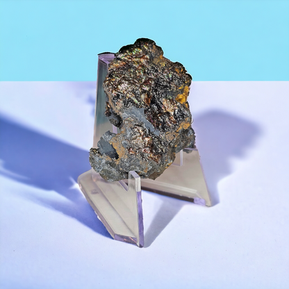Spanish Collection Box