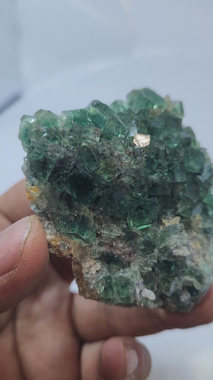 Fluorite Okorusu #16