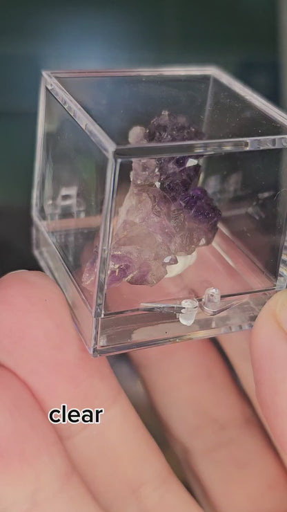 20 pack perky box with inserts