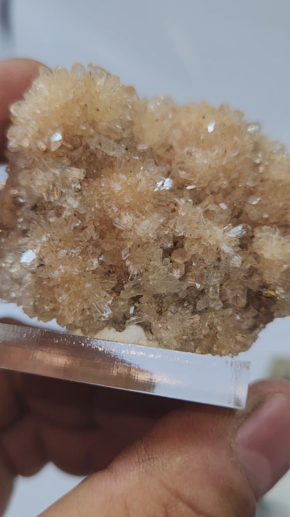 Creedite Navidad Mine #6