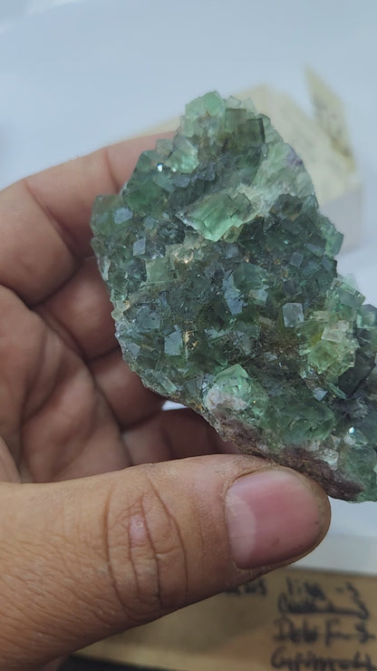 Fluorite okorusu #22