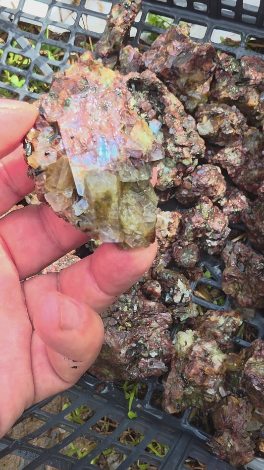 Rainbow moonstone (sanidine) pili mine mexico 1kg lot