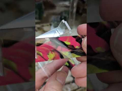 Plain Bleacher Stands Medium Clear