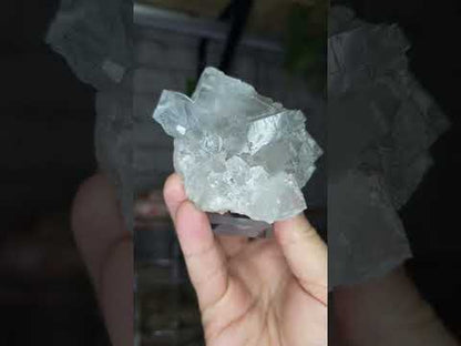 Fluorite Emilio