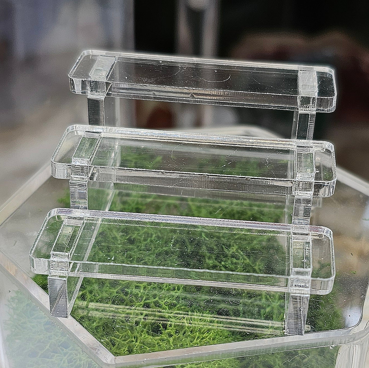 Plain Bleacher Stands Medium Clear