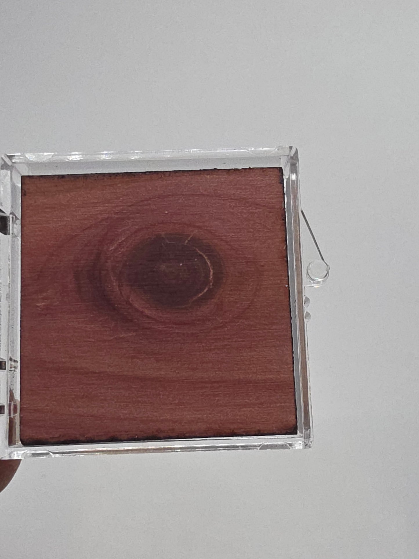 20 pack perky box with inserts