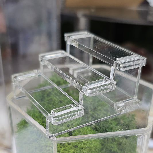 Plain Bleacher Stands Medium Clear