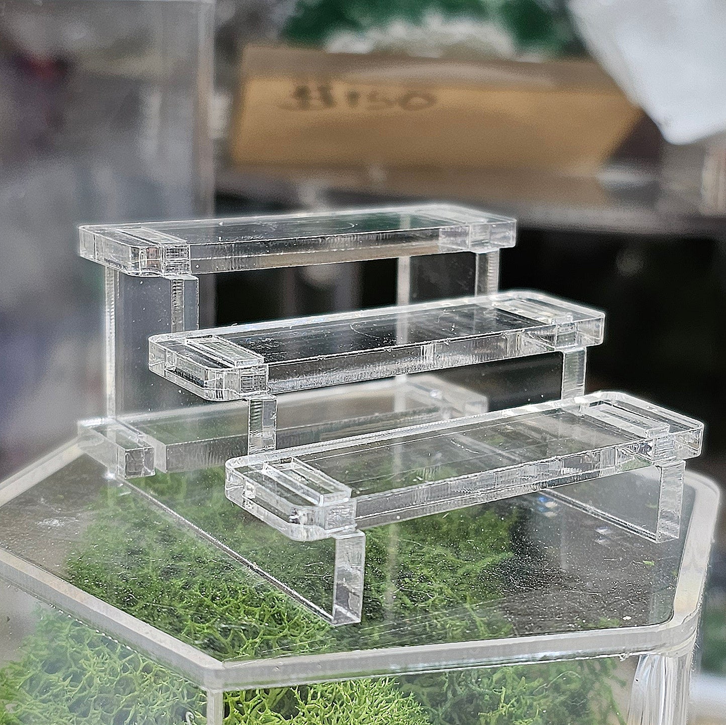 Plain Bleacher Stands Medium Clear