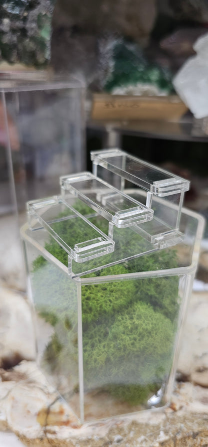 Plain Bleacher Stands Large Clear