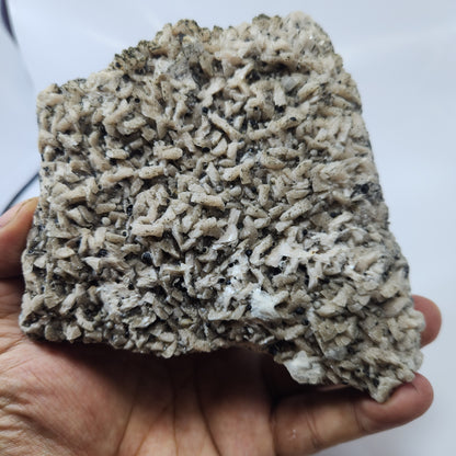 Dolomite Sphalerite #17