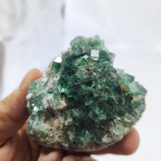 Fluorite Okorusu #16