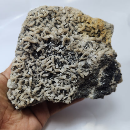 Dolomite Sphalerite #17