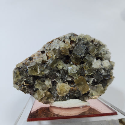 Fluorite- River Catcher Vein UK #1
