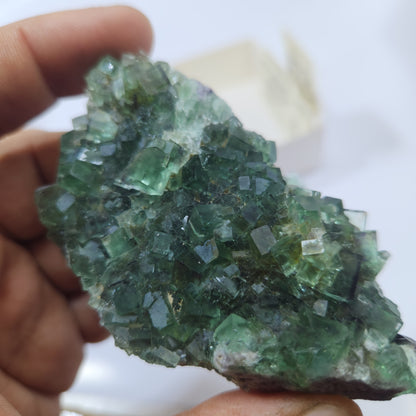 Fluorite okorusu #22