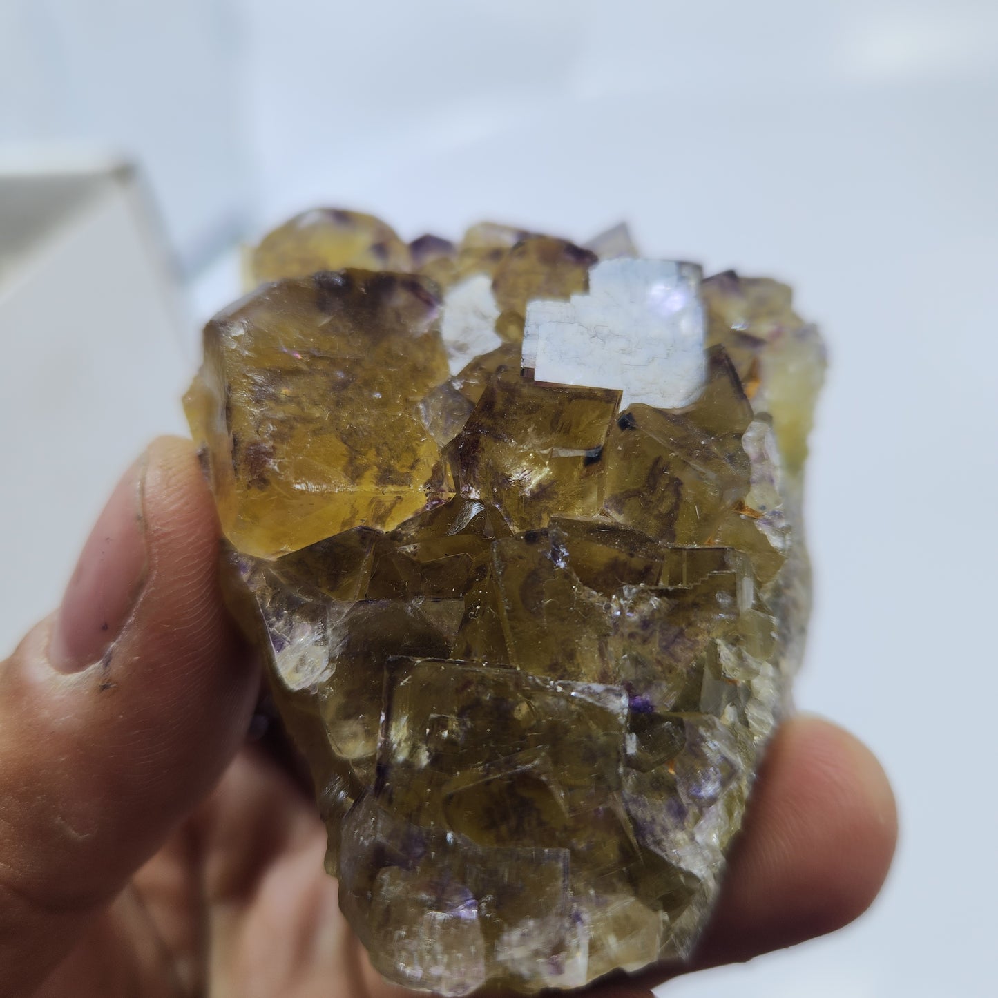 Fluorite Okorusu Mine #31