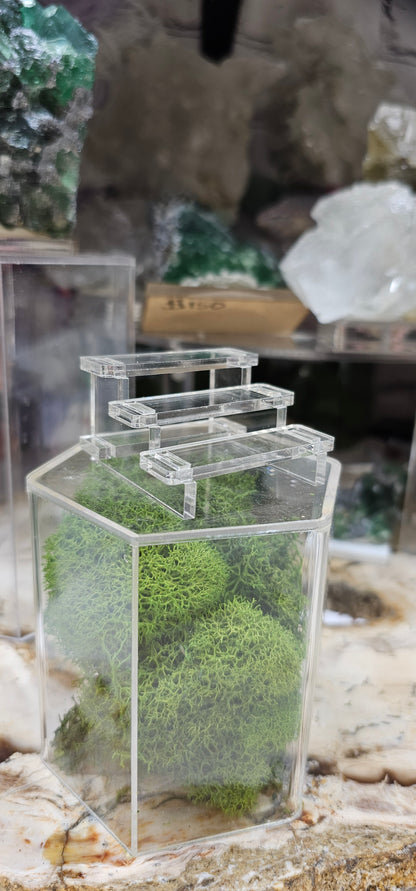 Plain Bleacher Stands Large Clear